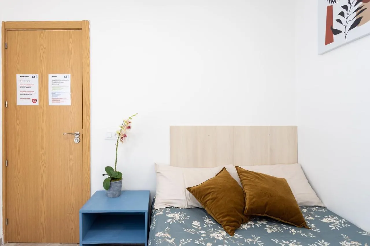 Hotel Black Cat Surf House 1 B Arona  Gasthof